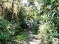 /album/capacita%c3%a7%c3%a3o%20de%20carga%20-%20cepa%20vila%20da%20gloria%20%28sfs%29/a9-jpg/